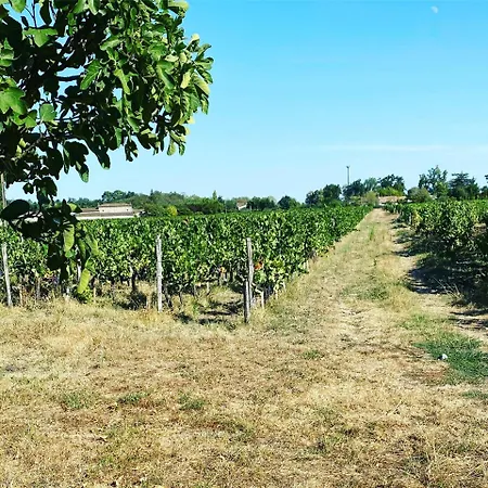 Longere A De Pomerol Au Coeur Des Vignobles *