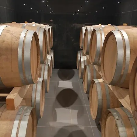 Longere A De Pomerol Au Coeur Des Vignobles