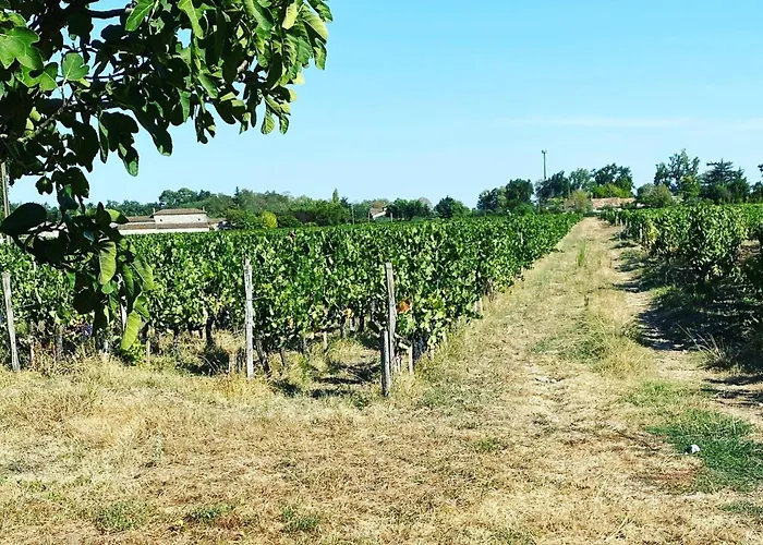 Longere A De Pomerol Au Coeur Des Vignobles *