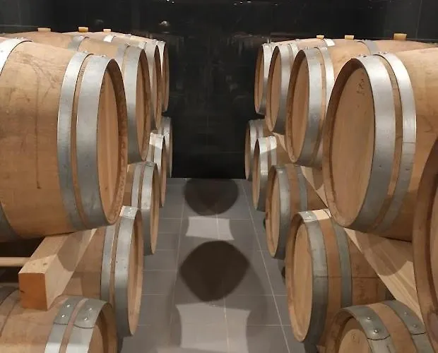 Longere A De Pomerol Au Coeur Des Vignobles